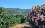 Maison à vendre à Le poujol sur orb — Vue nature — photo 1