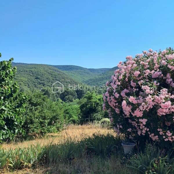 Maison à vendre à Le poujol sur orb — Vue nature — photo 1