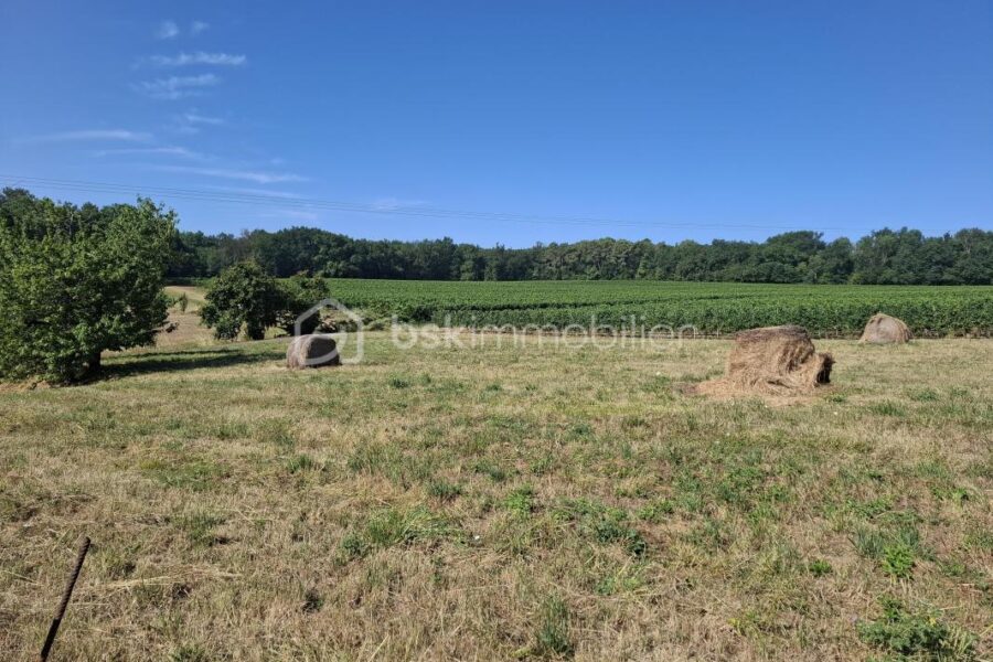 Terrain à vendre à Merignas — Vue nature — photo 2