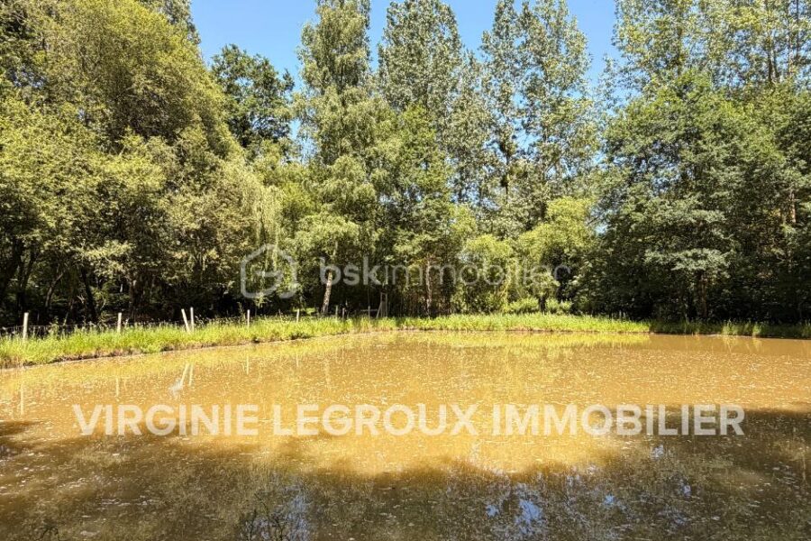 Terrain à vendre à Port brillet — Vue nature — photo 1