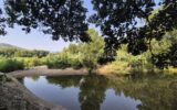 Maison à vendre à Le boulou — Vue fleuve — photo 1