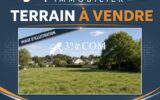 Terrain à vendre à Ringendorf — Vue dégagée — photo 2