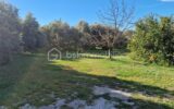 Terrain à vendre à Berre l etang — Vue parc — photo 1