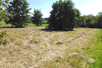 Terrain à vendre à Damazan