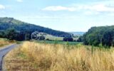 Terrain à vendre à Larreule — Vue nature — photo 10