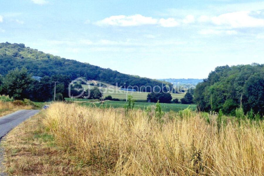 Terrain à vendre à Larreule — Vue nature — photo 10