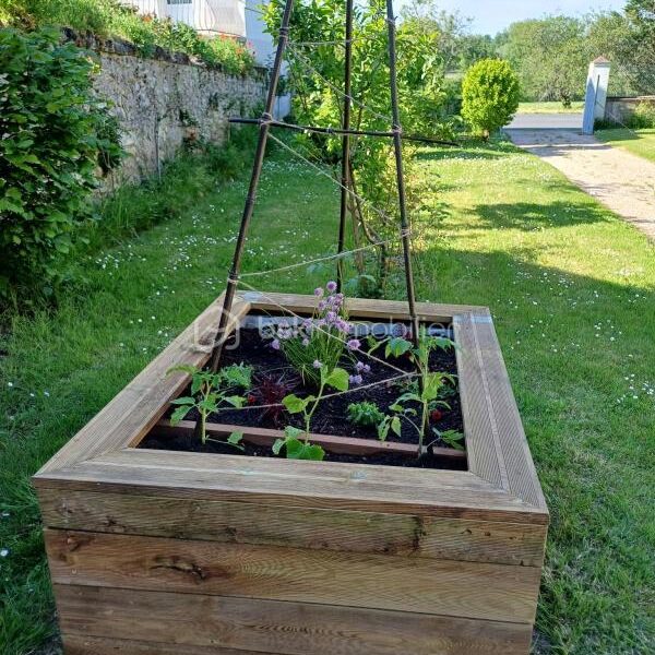 Maison à vendre à Faverolles sur cher — Vue nature — photo 12