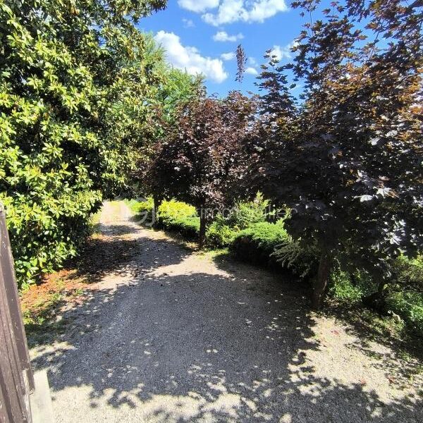 Maison à vendre à Voiron — Vue montagne — photo 12