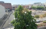 Appartement à vendre à Montigny-le-bretonneux