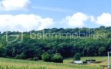 Terrain à vendre à Larreule — Vue nature — photo 13