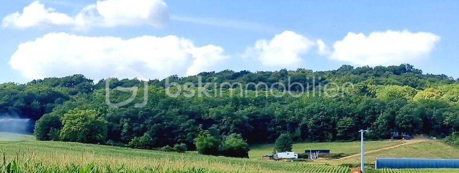 Terrain à vendre à Larreule — Vue nature — photo 13