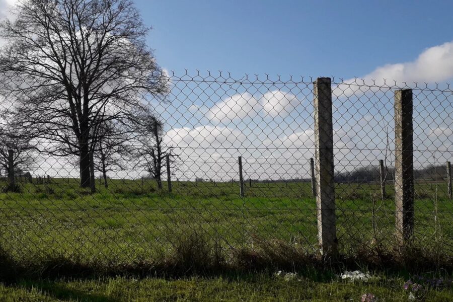 Terrain à vendre à Villers-le-sec — Vue nature — photo 4