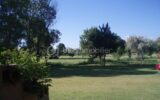 Appartement à vendre à Saint cyprien