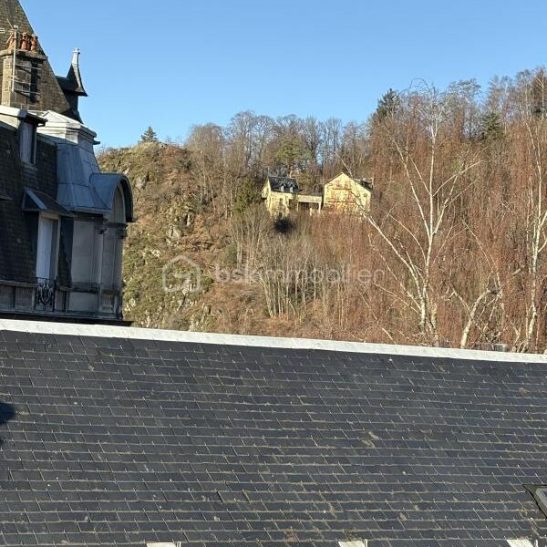 Appartement à vendre à La bourboule — Vue montagne — photo 14