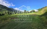 Terrain à vendre à Afareaitu — Vue montagne — photo 1