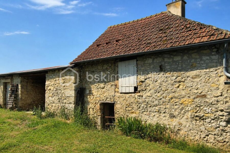Maison à vendre à Chery chartreuve
