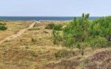 Maison à vendre à Barbatre — Vue mer — photo 15