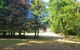 Maison à vendre à La prenessaye — Vue nature — photo 15