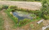 Maison à vendre à Gourfaleur — Vue nature — photo 16