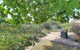 Maison à vendre à Monswiller — Vue nature — photo 16