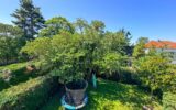 Maison à vendre à Le raincy — Vue parc — photo 12
