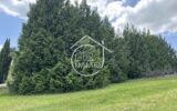 Terrain à vendre à Sainte-colombe — Vue nature — photo 4