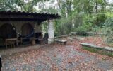 Maison à vendre à Cordes-sur-ciel — Vue nature — photo 4