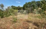Terrain à vendre à Léojac — Vue nature — photo 1