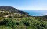 Terrain à vendre à Èze — Vue mer — photo 6