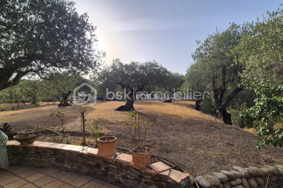 Maison à vendre à Le boulou — Vue fleuve — photo 18