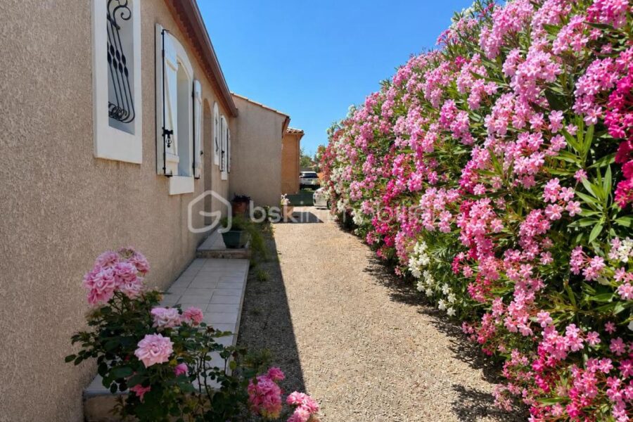 Maison à vendre à Conilhac corbieres — Vue nature — photo 20