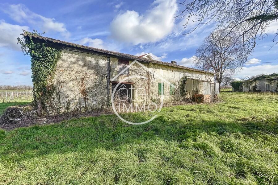 Maison à vendre à Pujols — Vue vignes — photo 3
