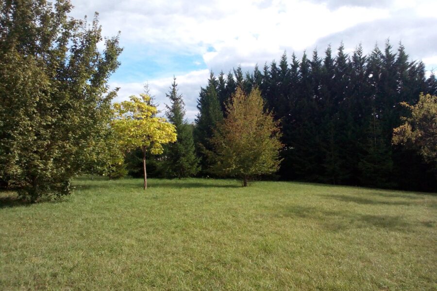 Terrain à vendre à Le val-de-guéblange — Vue nature — photo 2