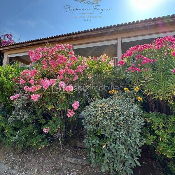 Appartement à vendre à Albitreccia