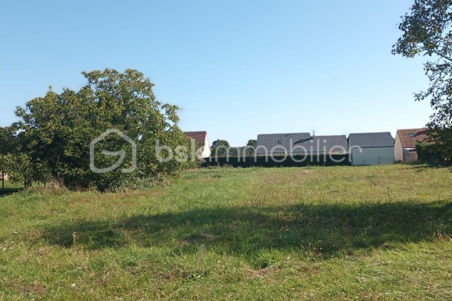 Terrain à vendre à Muides sur loire — photo 2