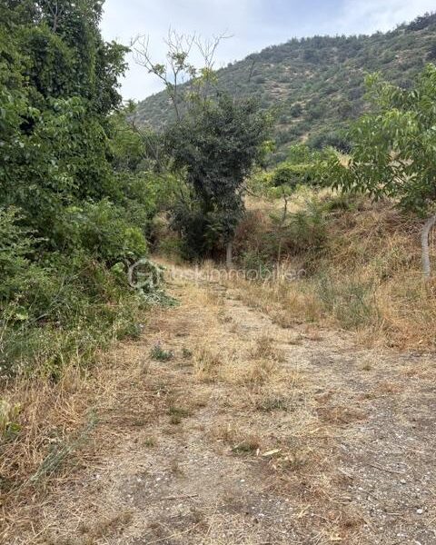 Terrain à vendre à Prades — Vue nature — photo 3