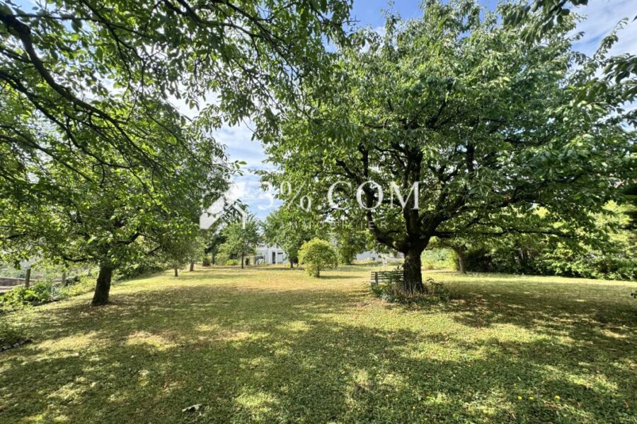 Maison à vendre à Durningen — Vue nature — photo 3