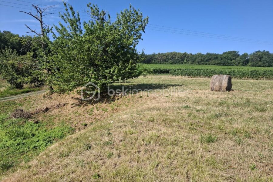 Terrain à vendre à Merignas — Vue nature — photo 3