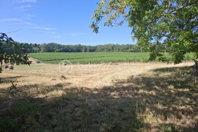 Terrain à vendre à Merignas
