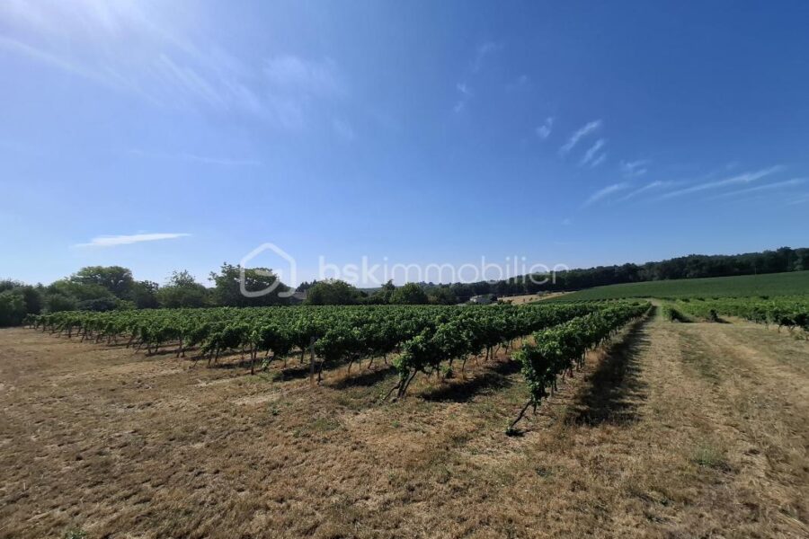 Terrain à vendre à Merignas — Vue vignes — photo 1