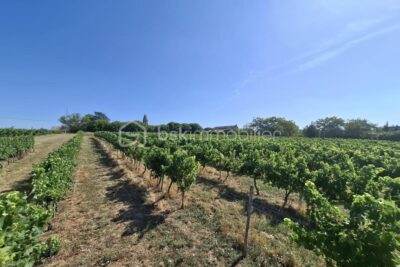 Terrain à vendre à Merignas