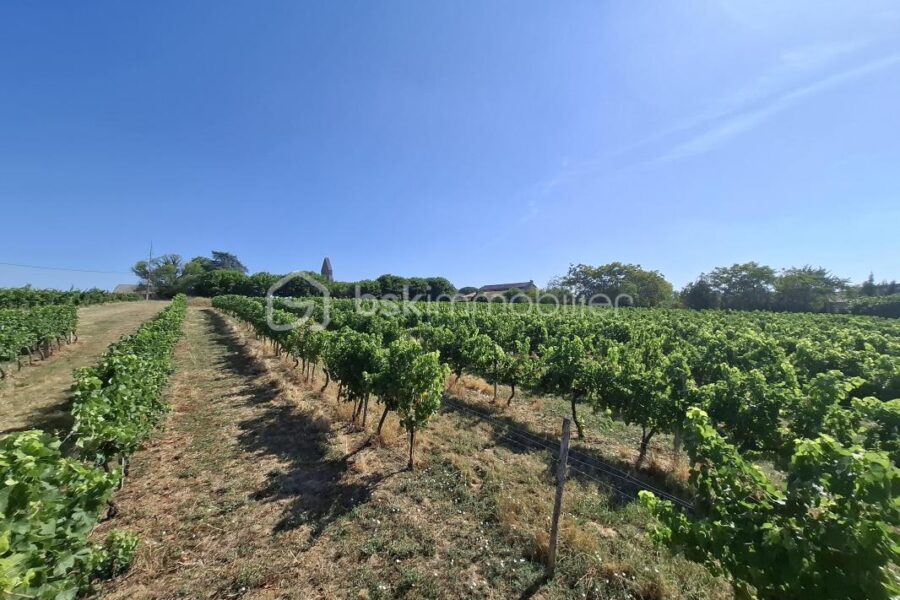 Terrain à vendre à Merignas — Vue vignes — photo 1