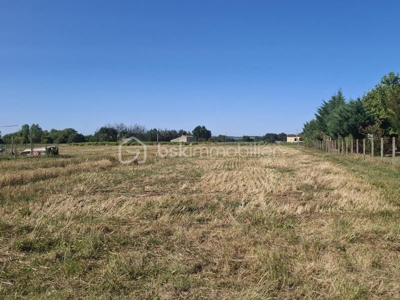 Terrain à vendre à Saint pey de castets — Vue nature — photo 1