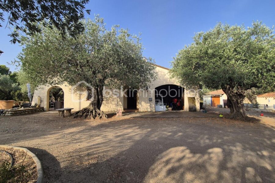 Maison à vendre à Le boulou — Vue fleuve — photo 2