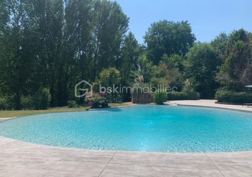 Maison à vendre à Caupenne d armagnac — Vue parc — photo 2