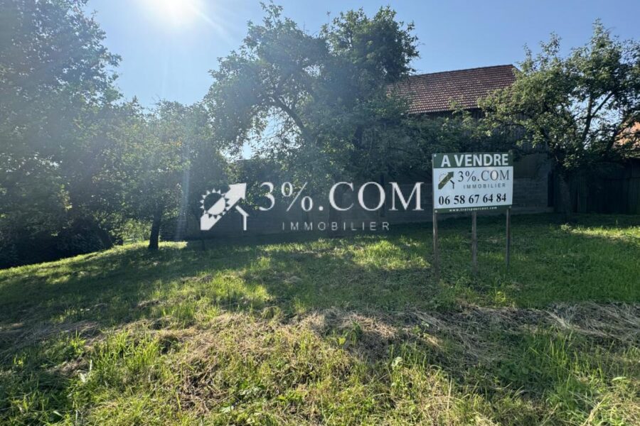 Terrain à vendre à Ringendorf — Vue dégagée — photo 3