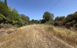 Terrain à vendre à Niort — Vue nature — photo 1