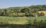 Maison à vendre à Lectoure — Vue nature — photo 20