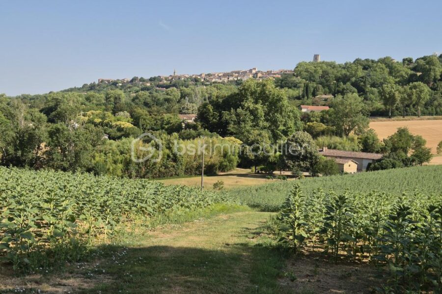 Maison à vendre à Lectoure — Vue nature — photo 20