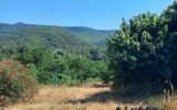 Maison à vendre à Le poujol sur orb — Vue nature — photo 21